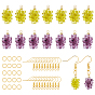DIY Dangle Earring Making Kits, Including 16Pcs 2 Colors Grape Resin Pendants, 20pcs Brass Earring Hooks and 20Pcs Iron Jump Rings, Silver