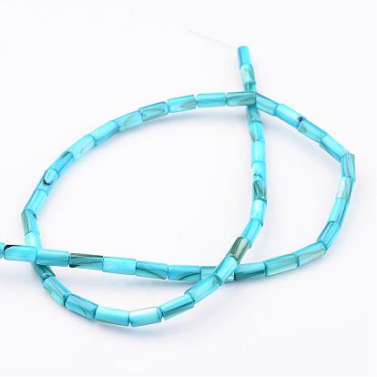 Natural Shell Bead Strands, Dyed, Column