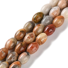 Natural Crazy Agate Beads Strands, Rice