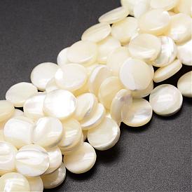 Натуральная оболочка из трохидных оболочек, плоско-круглые, 12x3~4 мм, отверстие : 1 мм, около 33 шт / нитка, 15.75 дюйм