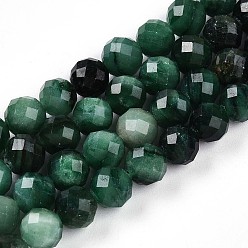 Natural Fuchsite Beads Strands, Round with Faceted