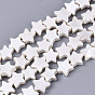 Natural Freshwater Shell Beads Strands, Star