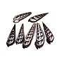 Natural Turritella Shell Pendants, Sliced Shell Charms
