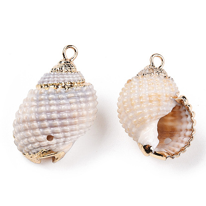 Electroplated Natural Spiral Shell Pendants, Shell Charms, with Golden Tone Iron Loops