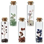 5Pcs 5 Styles Gemstone Chips Bonsai Tree in Column Glass Wish Bottles, Miniature Artificial Plants, for Home Display Decorations