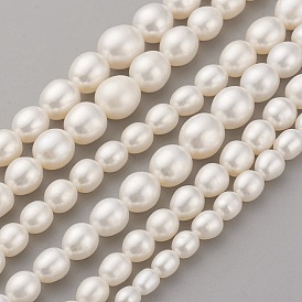 Brins de perles graduées en perles d'eau douce de culture naturelle, aaaa grade, ovale