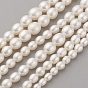 Natural Cultured Freshwater Pearl Graduated Beads Strands, Grade AAAA, Oval