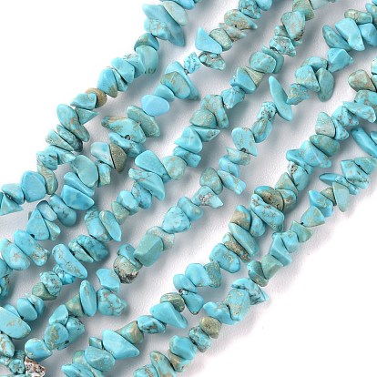 Natural Howlite Beads Strands, Dyed, Chip