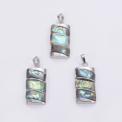 Abalone Shell/Paua Shell Pendants, with Platinum Tone Brass Bail, Rectangle