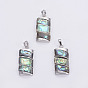 Abalone Shell/Paua Shell Pendants, with Platinum Tone Brass Bail, Rectangle
