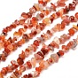 Natural South Red Agate Chips Bead Strands