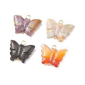 Natural Mixed Stone & Agate Connector Charms, with Golden Tone Iron Double Loops, Butterfly