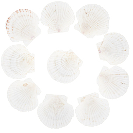 Природного шарики оболочки, неочищенные / без отверстий