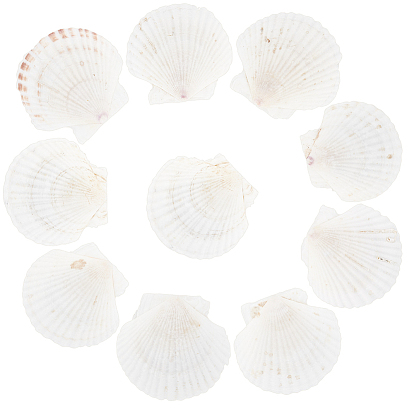 Природного шарики оболочки, неочищенные / без отверстий