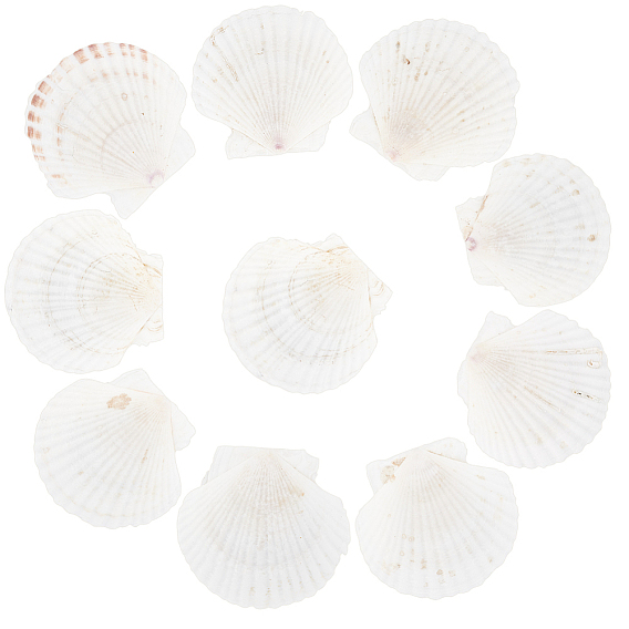 Природного шарики оболочки, неочищенные / без отверстий