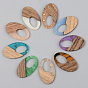 Resin & Walnut Walnut Wood Pendants, Oval, Mixed Color