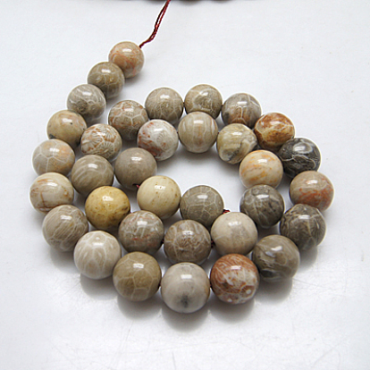 Fossiles naturelle perles de corail brins, ronde, Trou: 1mm