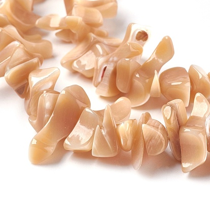 Freshwater Shell Beads Strands, Chip