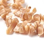 Freshwater Shell Beads Strands, Chip