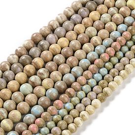 Natural Rainbow Alashan Agate Beads Strands, Dyed, Two Tone, Round