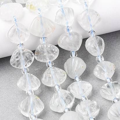 Нити резных бусин из натурального зеленого лунного камня, формы раковины, с бисером