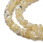 Natural Trochus Shell Beads Strands, Round
