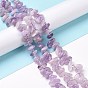 Natural Amethyst Beads Strands, Chip