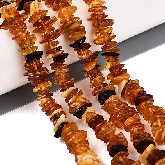 Natural Amber Beads Strands, Chip