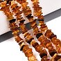 Natural Amber Beads Strands, Chip