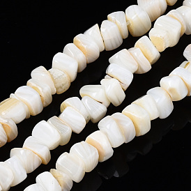 Natural Freshwater Shell Beads Strands, Nuggets Chips