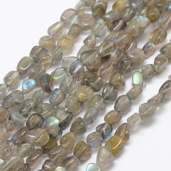 Natural Labradorite Beads Strands, Nuggets