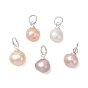 Подвески из натурального культивированного пресноводного жемчуга с двух сторон полированные, латуни и 304 результатов из нержавеющей стали, цвет морской раковины