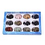 Natural & Synthetic Mixed Gemstone Camel Shape Figurines Set, Ornament for Home Office Desktop Decoration, with Paper Gift Box, Mixed Dyed and Undyed