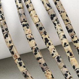 Natural Dalmatian Jasper Beads Strands, Column