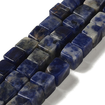 Natural Sodalite Beads Strands, Cube