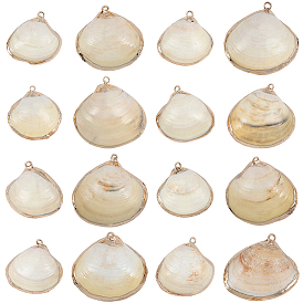 30шт. подвески из натуральной ракушки с гальваническим покрытием, подвески в форме ракушки с фурнитурой из железа, золотые