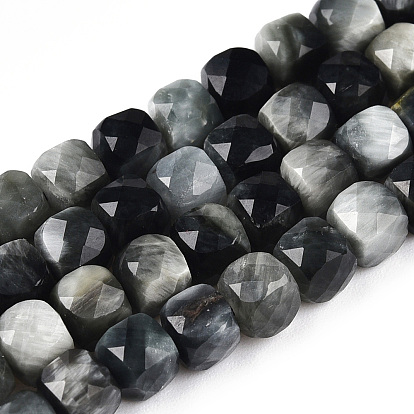 Natural Hawk's Eye Beads Strands, Eagle Eye Stone, Cube, Faceted