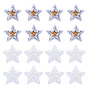 24 шт. 2 стили полиэфирные термопереносные виниловые листы, утюг на виниле для футболки, украшения одежды ткани, с пайеткой / блестками, звезда