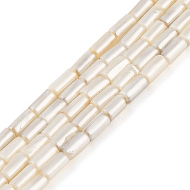 Electroplated Natural Freshwater Shell Beads Strands, Column