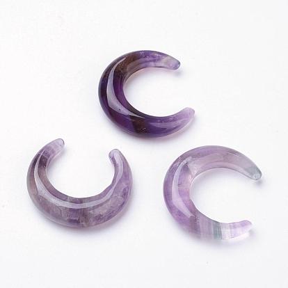 Natürlichen Amethyst Perlen, kein Loch, Doppelhorn / Halbmond