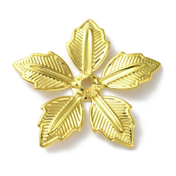 Железа бисера, цветок