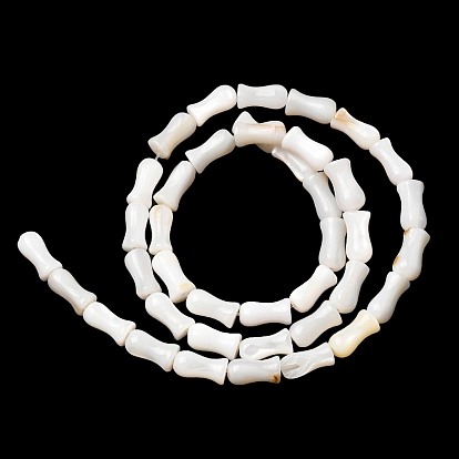 Natural Freshwater Shell Beads Strands, Vase