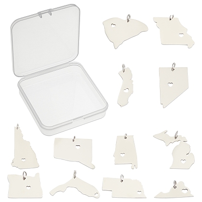12Pcs 12 Style 201 Stainless Steel Pendants, Map