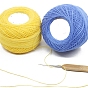45g Cotton Size 8 Crochet Threads, Embroidery Floss, Yarn for Lace Hand Knitting