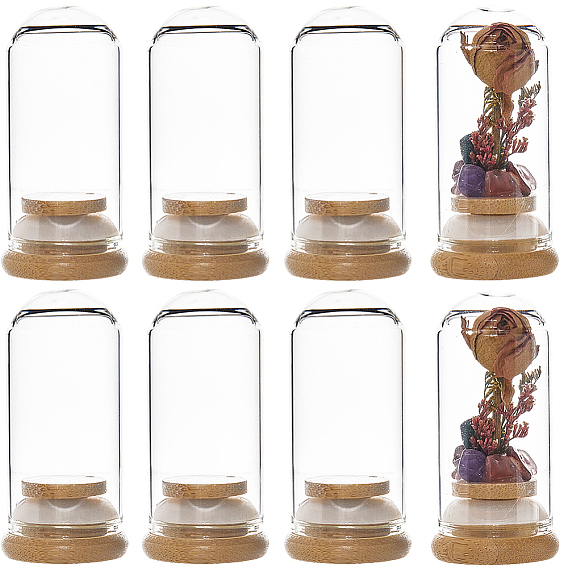 Купол из прозрачного стекла, декоративная витрина, террариум в форме колокольчика с бамбуковым основанием