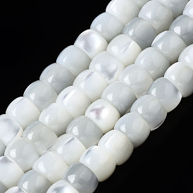 Brins de perles de coquille de trochid / trochus shell, colonne, eau de Javel