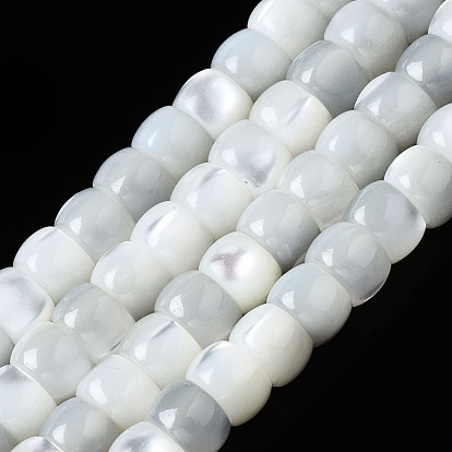 Natural Trochid Shell/Trochus Shell Beads Strands, Column, Bleach