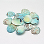 Dyed Natural Shell Beads, No Hole