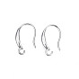 304 Stainless Steel Earring Hooks, with Horizontal Loop, Flat Ear Wire
