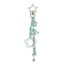 Llaveros colgantes de acrílico y vidrio, Con aleaciones y hallazgos de hierro, para la decoración del bolso de la llave del coche, flor y estrella y medusa